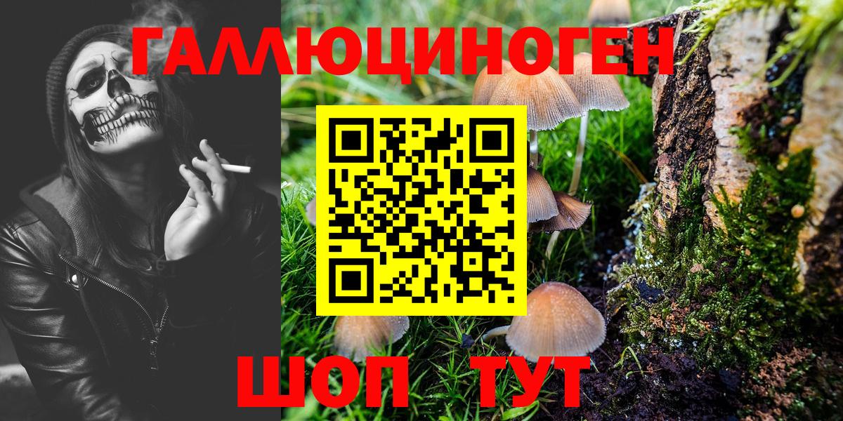 Галлюциногенные грибы MAGIC MUSHROOMS  Вход с VPN  Чита 